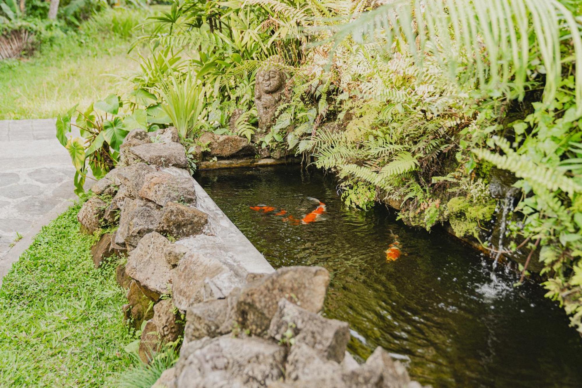 Sweet Orange Pondok Ubud Esterno foto